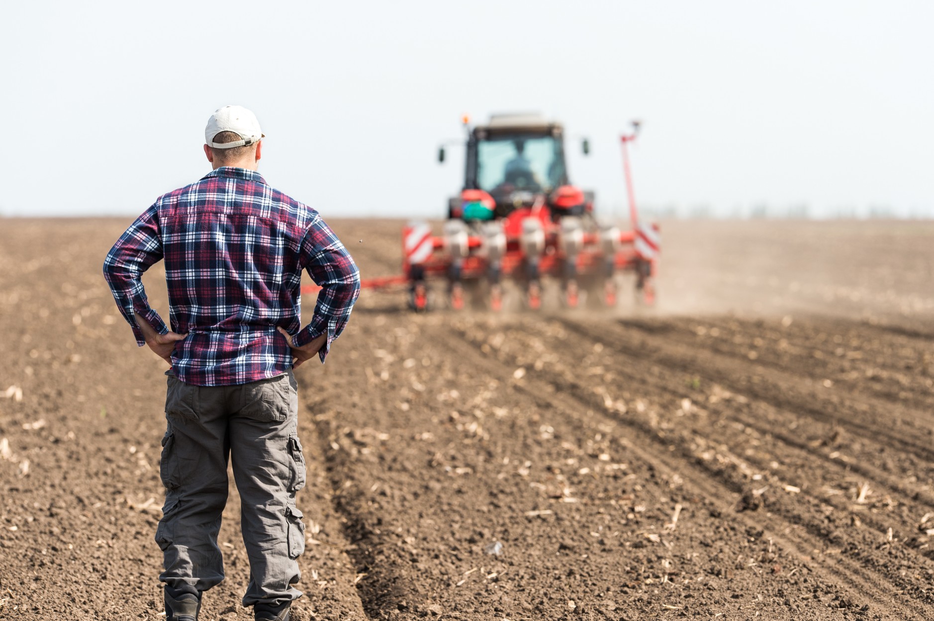 Farmer standing in a ploughed field watching a red tractor and seeder
